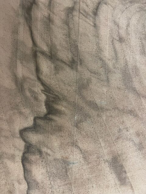 Walnut grain