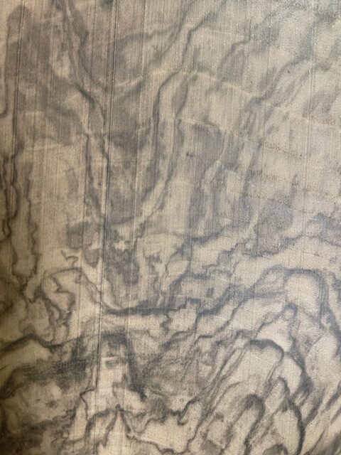 Walnut grain